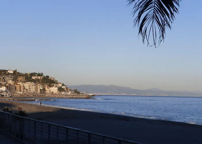 Lido فندق